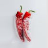 Handpicked Red Chillies Red Chillies 100x100