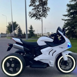 ducati panigale v4(3)