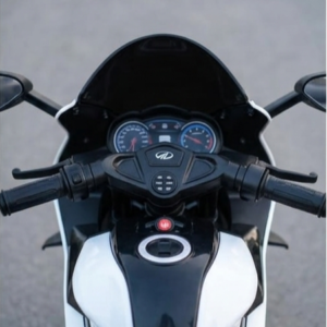 ducati panigale v4(4)